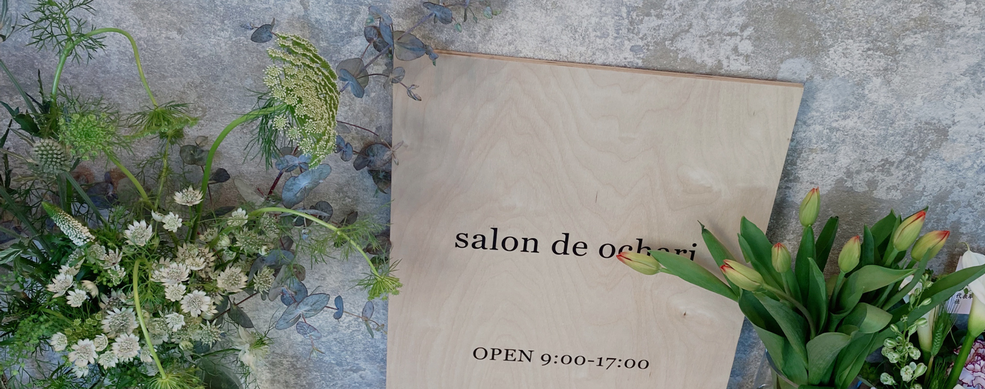 Salon de OCHARI